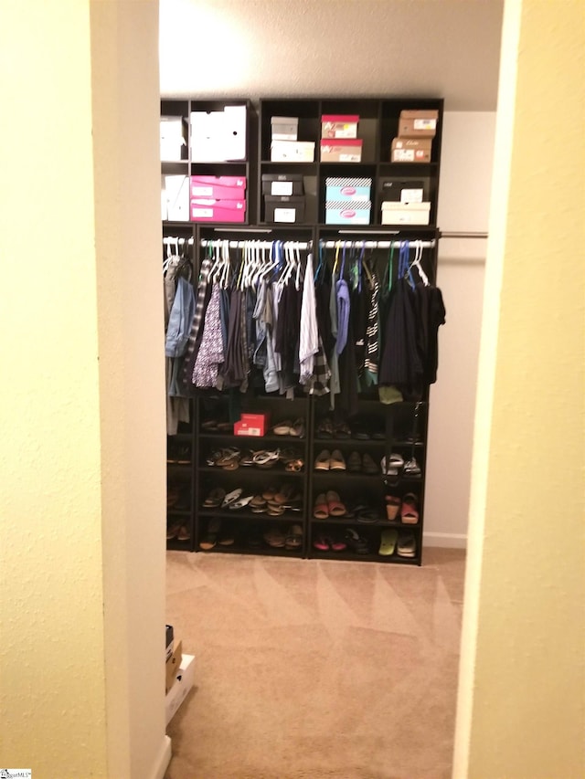 spacious closet featuring carpet flooring