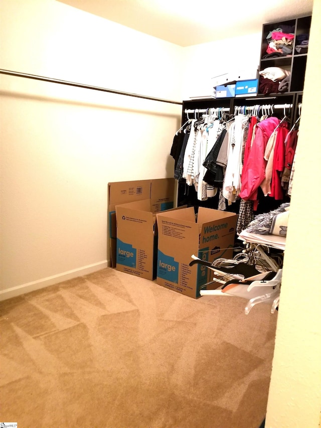 walk in closet with carpet