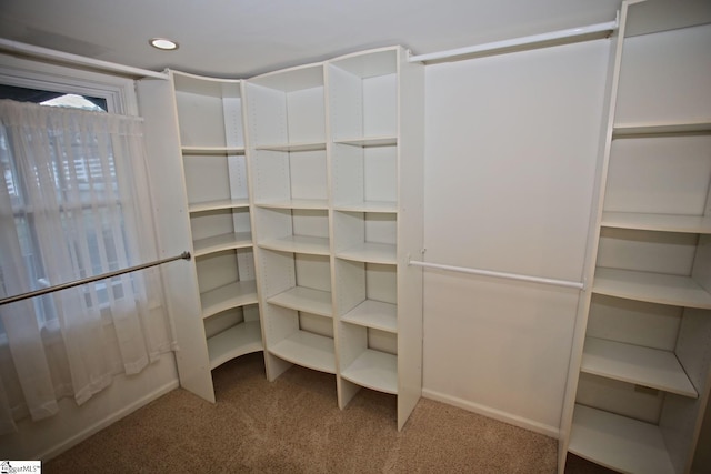 spacious closet with carpet