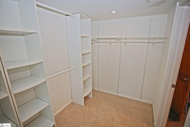 walk in closet with light colored carpet