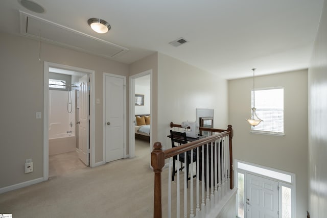 corridor with light colored carpet