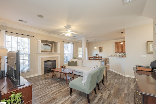 living room featuring ceiling fan, a fireplace, crown molding, and dark hardwood / wood-style floors