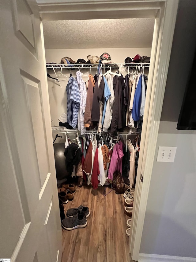 walk in closet with hardwood / wood-style flooring