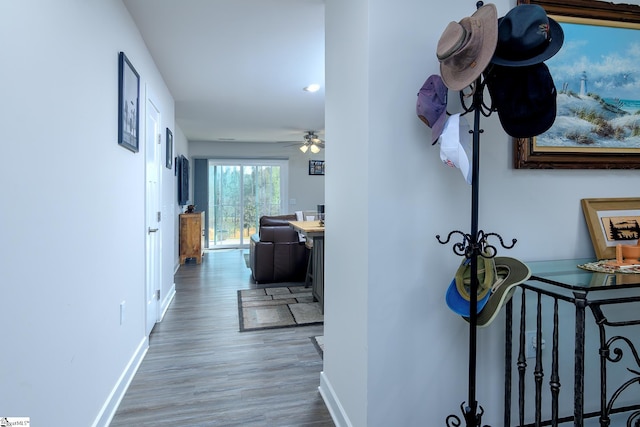 corridor with hardwood / wood-style floors