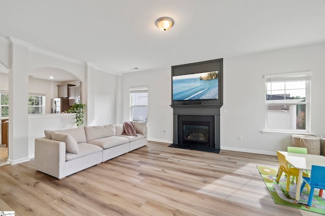 living room featuring plenty of natural light, a large fireplace, and light hardwood / wood-style flooring