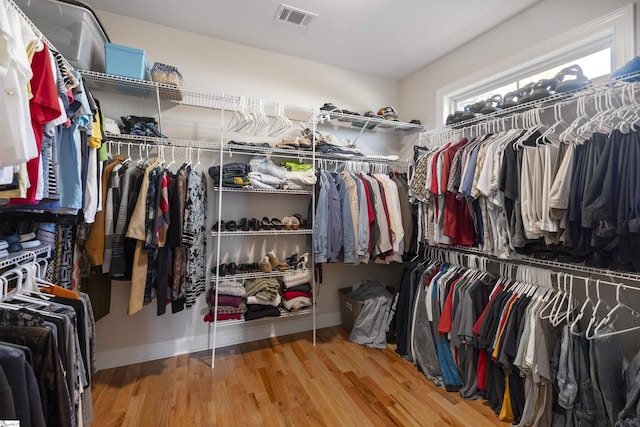 walk in closet featuring wood-type flooring