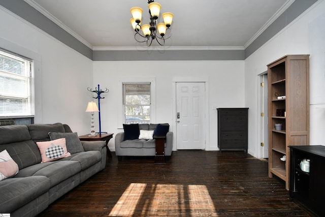 living room with a chandelier, crown molding, and dark wood-type flooring