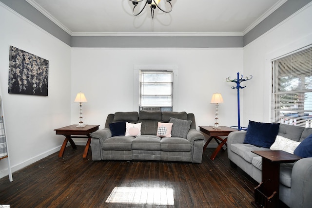 living room with dark hardwood / wood-style floors, an inviting chandelier, and ornamental molding