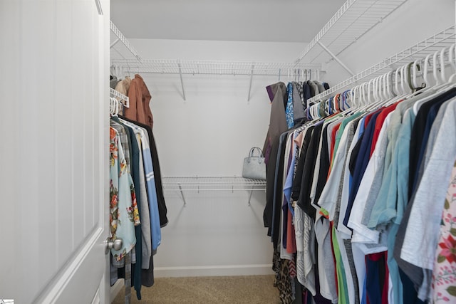 spacious closet with light colored carpet