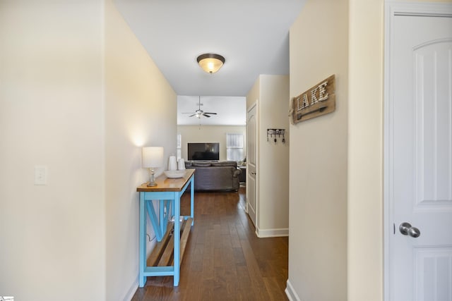 hall with dark hardwood / wood-style floors