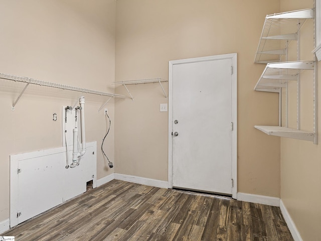 clothes washing area featuring dark hardwood / wood-style flooring