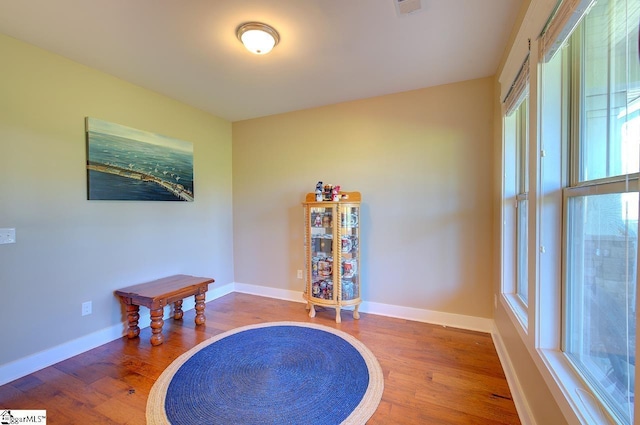 sitting room featuring hardwood / wood-style floors