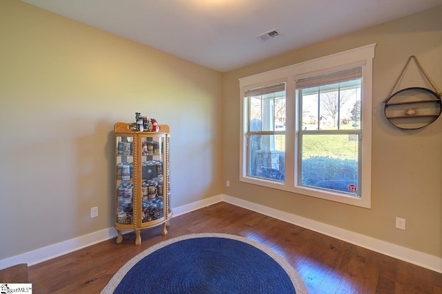 interior space featuring dark wood-type flooring