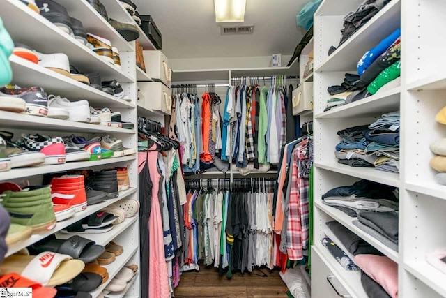 view of spacious closet