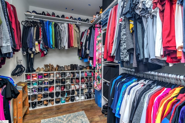 spacious closet featuring dark wood-type flooring