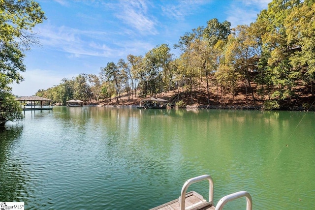 dock area with a water view