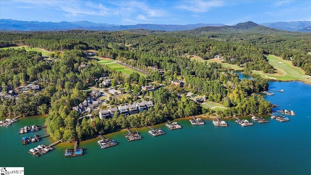 bird's eye view featuring a water and mountain view