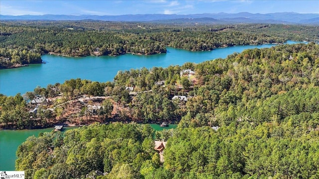 bird's eye view featuring a water and mountain view