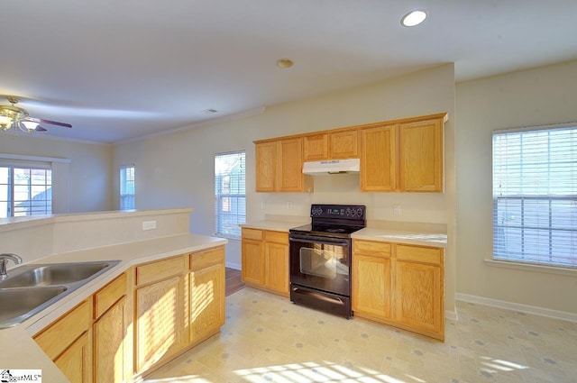 kitchen with ceiling fan, a healthy amount of sunlight, sink, and black range with electric cooktop