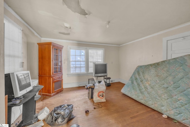 interior space with light hardwood / wood-style floors and ornamental molding