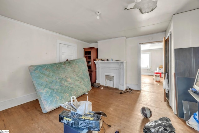 sitting room featuring light hardwood / wood-style flooring