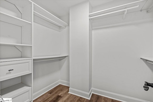 spacious closet featuring dark wood-type flooring