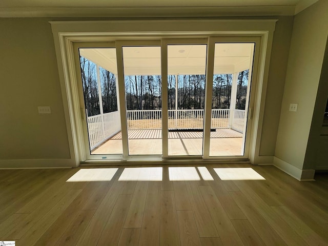 doorway to outside with plenty of natural light and light hardwood / wood-style flooring