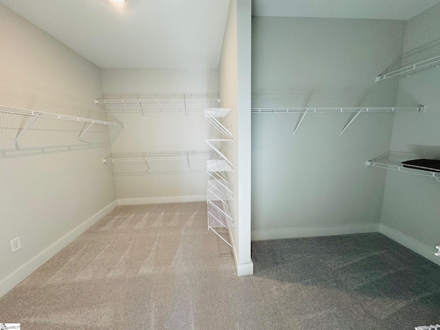 spacious closet with carpet floors