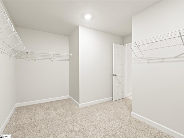 spacious closet with light carpet