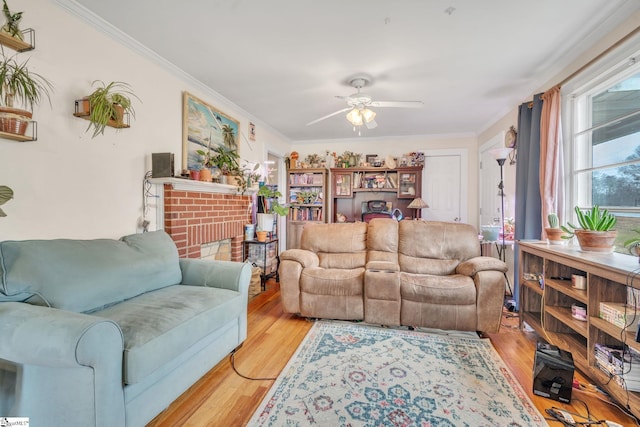 living room with ceiling fan, crown molding, and light hardwood / wood-style flooring