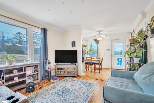 living room with light hardwood / wood-style flooring, ceiling fan, and crown molding