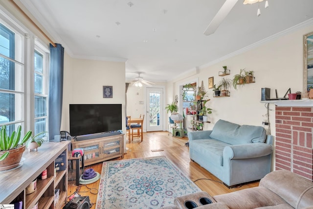 living room featuring ceiling fan, light hardwood / wood-style floors, and ornamental molding