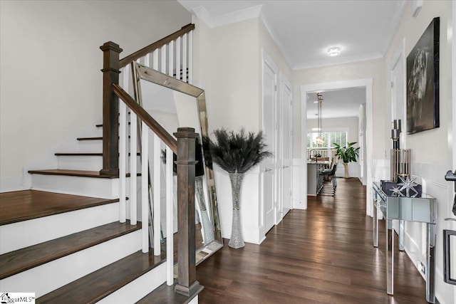 entrance foyer with dark hardwood / wood-style floors and crown molding