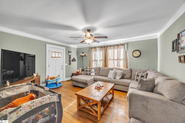 living room with ceiling fan, light hardwood / wood-style floors, and crown molding