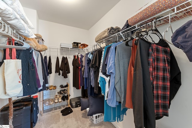 spacious closet featuring carpet