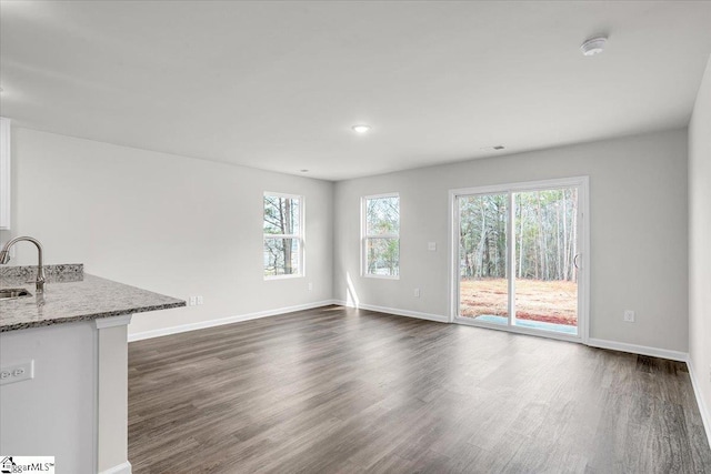 unfurnished living room featuring sink and dark wood-type flooring