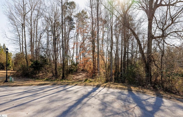 309 Chafford Ct, Simpsonville SC, 29681 land for sale