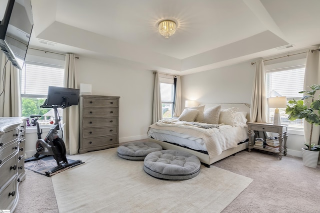 carpeted bedroom with a raised ceiling