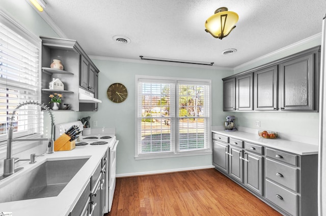 kitchen with electric range, sink, light hardwood / wood-style floors, a textured ceiling, and ornamental molding