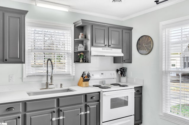 kitchen featuring crown molding, white range with electric cooktop, gray cabinetry, and sink