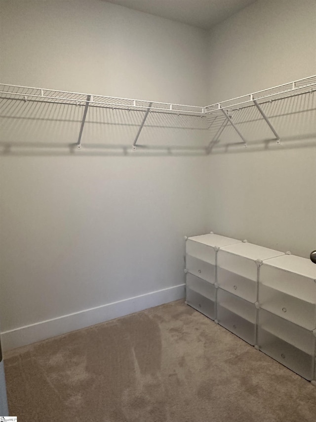 spacious closet with carpet floors