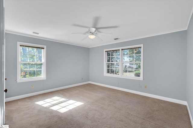 empty room featuring carpet flooring, ceiling fan, and ornamental molding