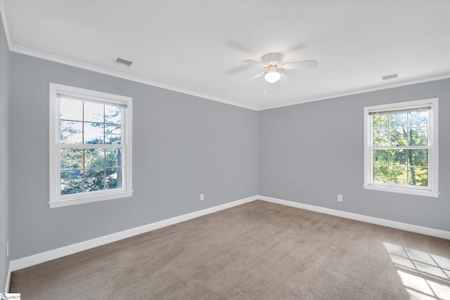 spare room featuring carpet, ceiling fan, and ornamental molding