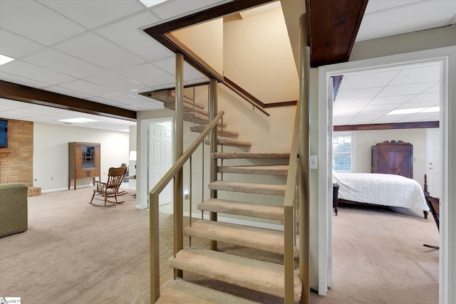 stairway featuring a drop ceiling and carpet floors