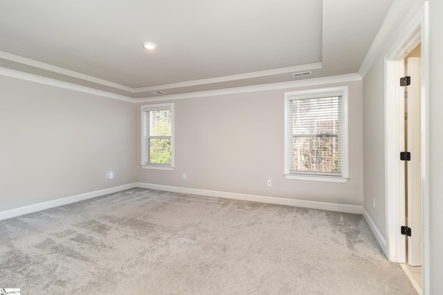 carpeted empty room featuring a healthy amount of sunlight and a tray ceiling