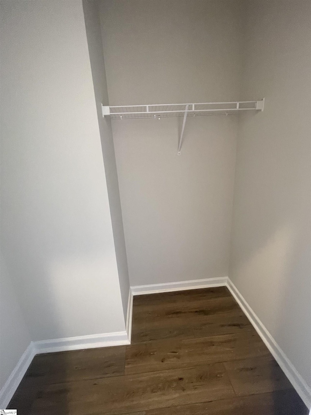 walk in closet with dark wood-type flooring