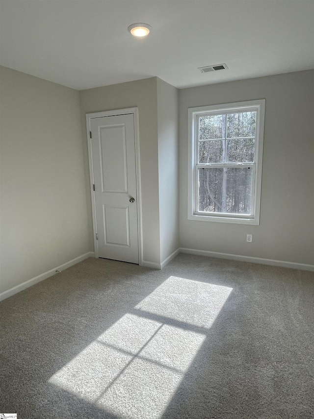 spare room featuring carpet floors