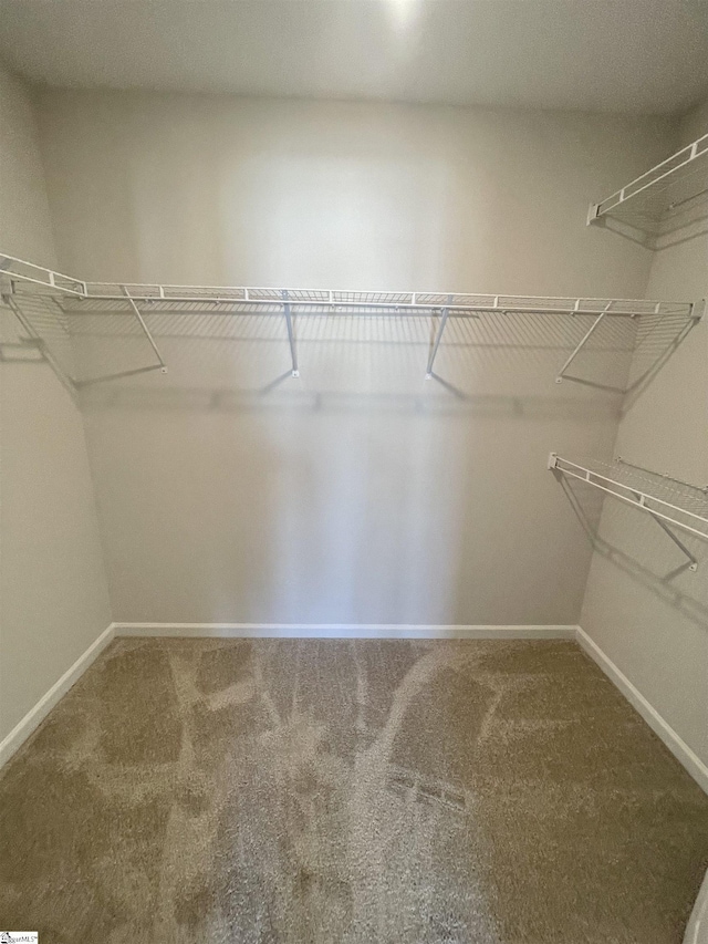 walk in closet with carpet