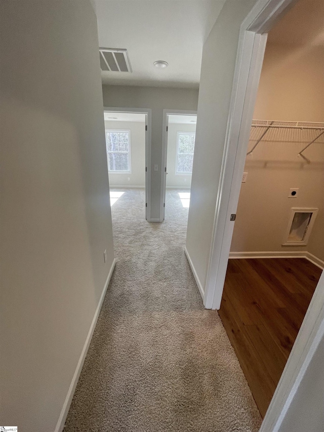 hallway with carpet floors