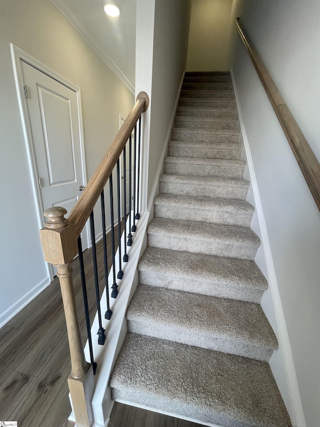 stairway with wood-type flooring